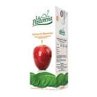 NECTAR DE MANZANA PASTOREÑA 1LT